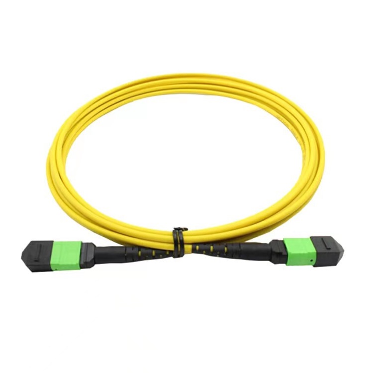 MPO-MPO Female  12cores Cable